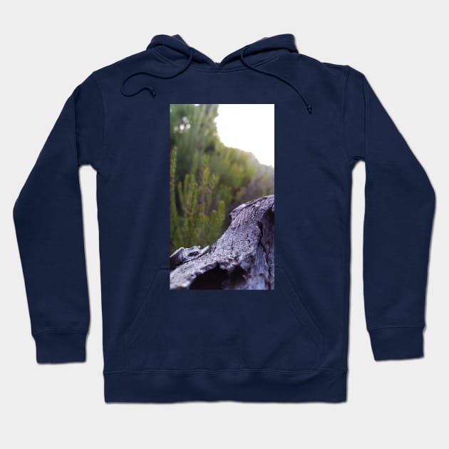 Tree Trunk Hoodie by Kuro